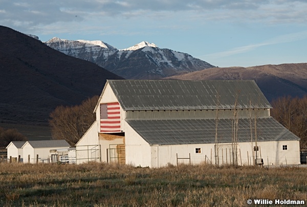 Wallsburg American Flag Barn 111821 6028 3