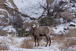 Capitol Reef Snow 012720 0269 3