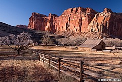 Capitol Reef Pasture 031514 0112