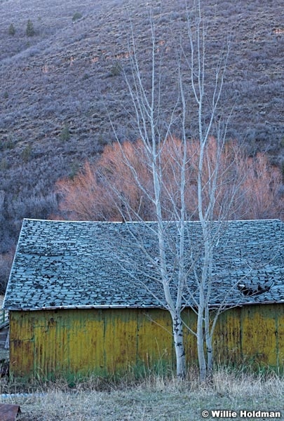 Colors Of The Past 120121 7689 2