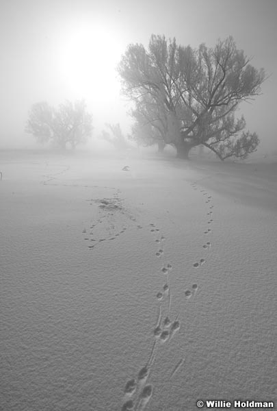 Wintertracks022009 2063