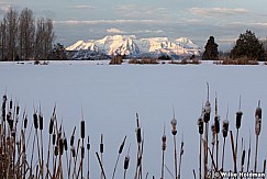 timptimberlakes 39