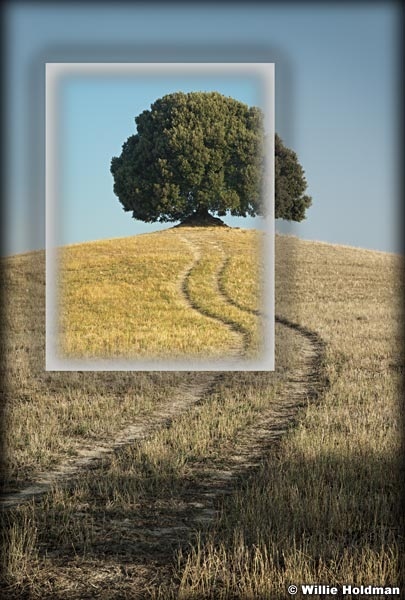 Oaktree092309contempflat