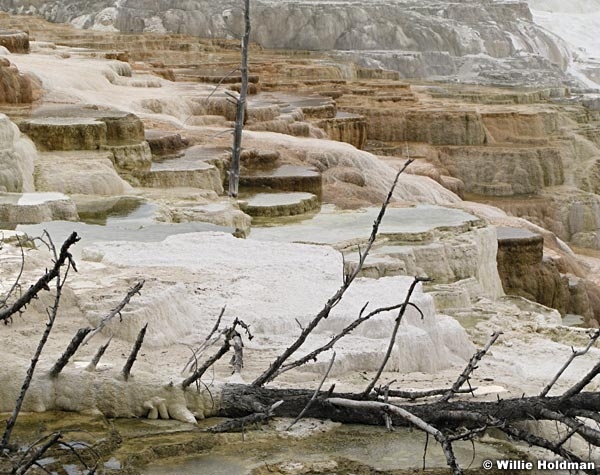 Yellowstoneminerals0015