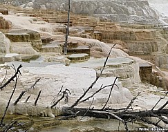 Yellowstoneminerals0015