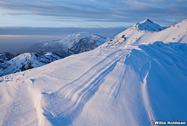 Wind drifted snow