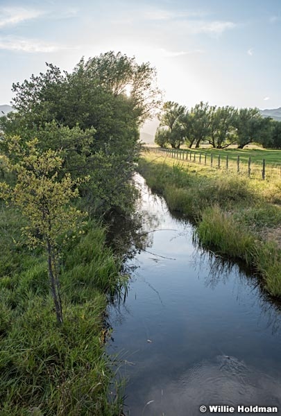 North Fields Canal 090215 2 2