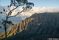 Kokee Na Pali Rainbow Kauai 101821 7381