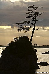062507oceanoregon744