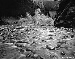 265060301809bw