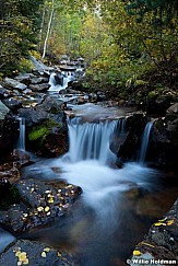 Millbcottonwooodstream101311