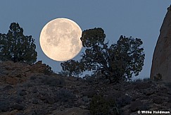 Capitol Reef Moon 021722 6600