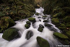 Moss Laden Creek 110514 2