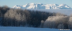 Timpanogos Frosty Aspens 01222 4288