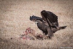 Golden Eagle Feast 121517 4896