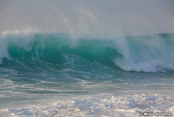 Oahu Wave 012613 577