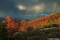 Double Rainbow Red Maples 092022 7861