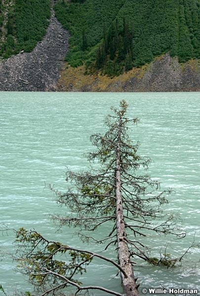 lakelouise071008 2061