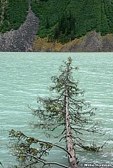 lakelouise071008 2061