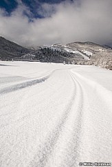 Oldtracks012909 11202