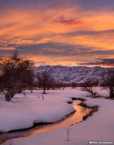Sunset Fields Heber 022519 8535 6x7