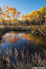 Golden Aspen Pond 100124 1321