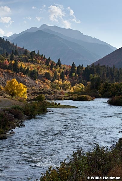 Provo River 092412 107