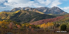 Timpanogos Autumn Splendor 100221 8234