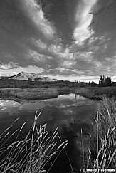 Pond Clouds Heber BW 083115 8313