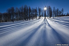 Aspensunmeadow012011 895