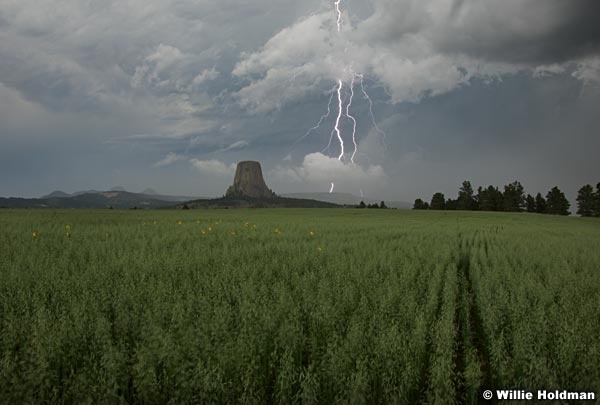 Devilstowerlightning071409 29886