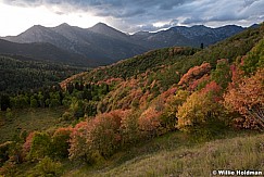 Maple Ridgelines Box Elder 091821 3229 2 2