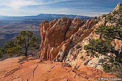 Kinesava Mountain Zion 021516 3839