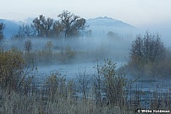 Provo River Misty summer 102215 8087 2