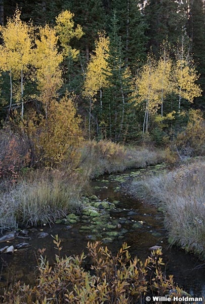 Aspen Stream 100321 8740