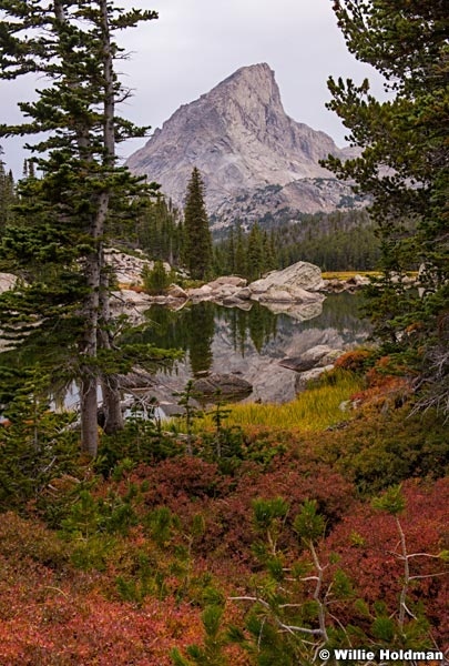 Lizaed Head Wind River 111216 1099