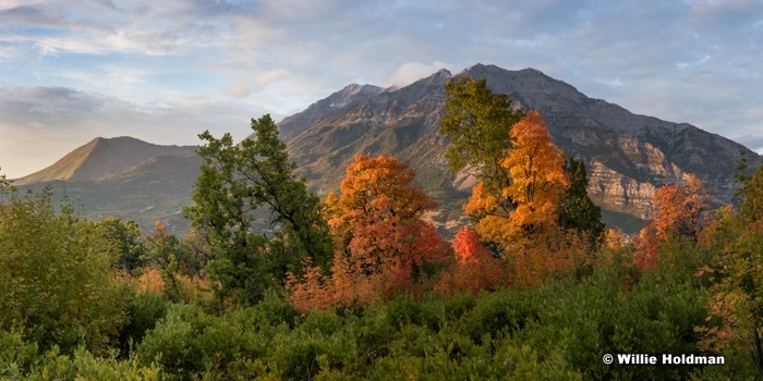 Timpanogos Oranges 092817 5928