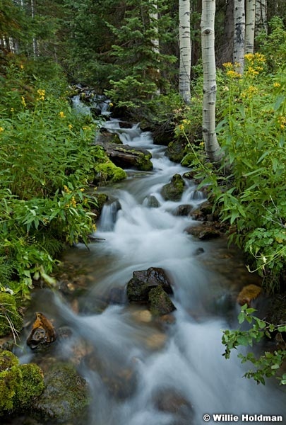 Bigcottonwoodcreek091311 281