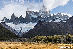Fitzroy031716 5x7