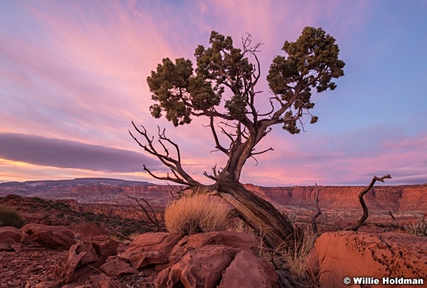Capitol Reef Sunset 111820 207