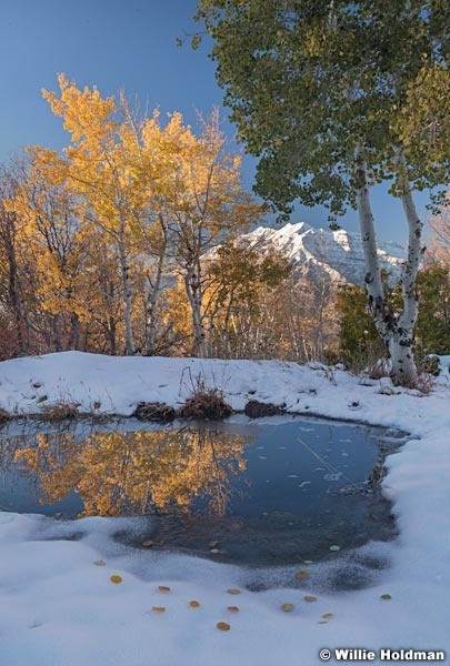 Timpanogos pond 101218 0690 4