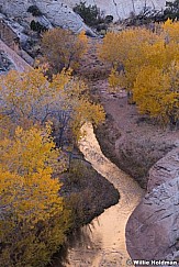 Pleasant Creek Capitol Reef 102819 3291