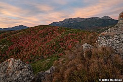 Autumn Hillside Sunrise 091624 754