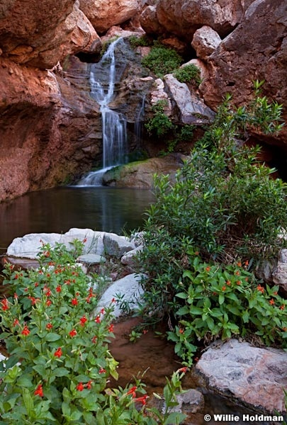 Grand Canyon Elves Chasem 042012 521