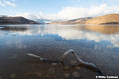 Icy Shore Deer Creek 020625 4464