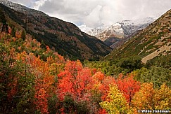 D09190681