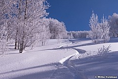 Bifg Cottonwood Canyon Ski 030315 0894