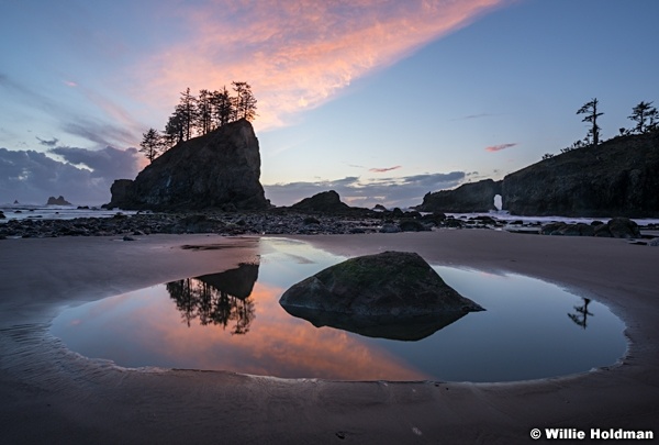 Olympic Forest Ocean Washington 102916 9595 1