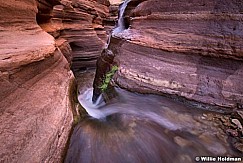 Deer Creek Grand Canyon 041115 5841
