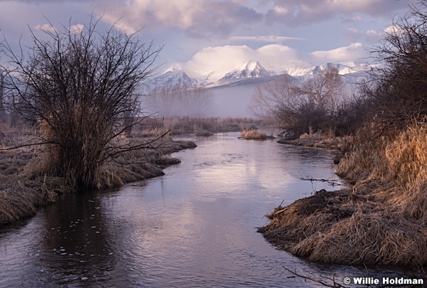 Provo River Bottoms 022714 9062